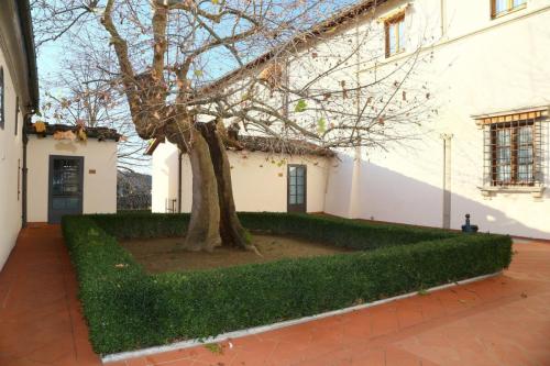 Casa Di Riposo Villa Santa Teresa